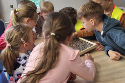Pasieka Edukacyjna - Towarzystwo Bartników w Starym Bojanowie - Żabusie i Kaczusie